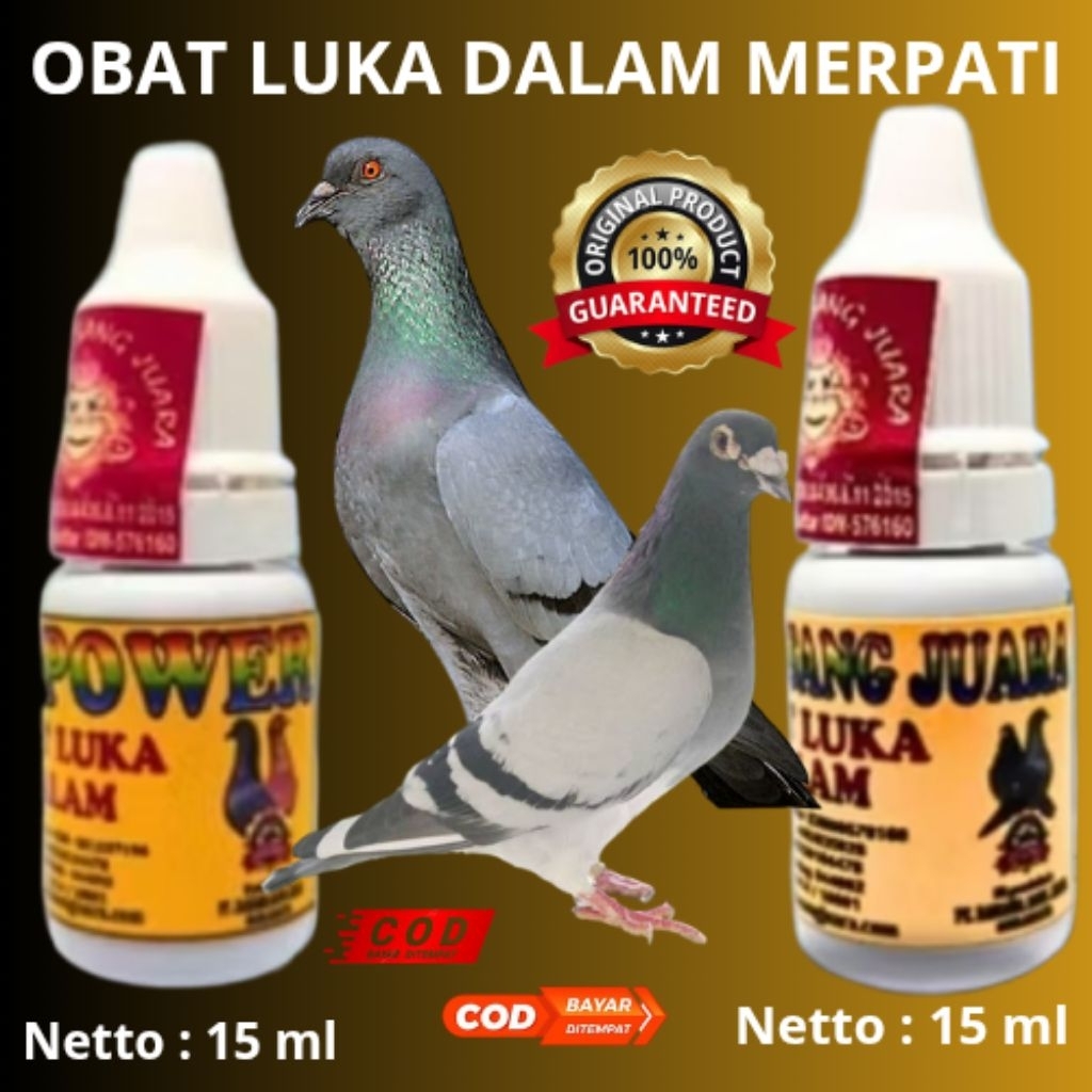BEST POWER & RSJ OBAT LUKA DALAM UNTUK MERPATI