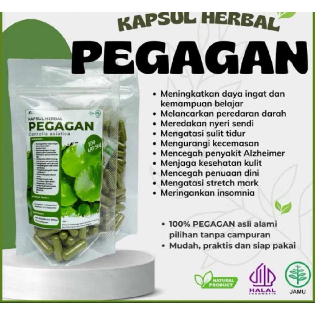 

kapsul daun pegagan 100butir/daun pegagan kapsul isi 100butir