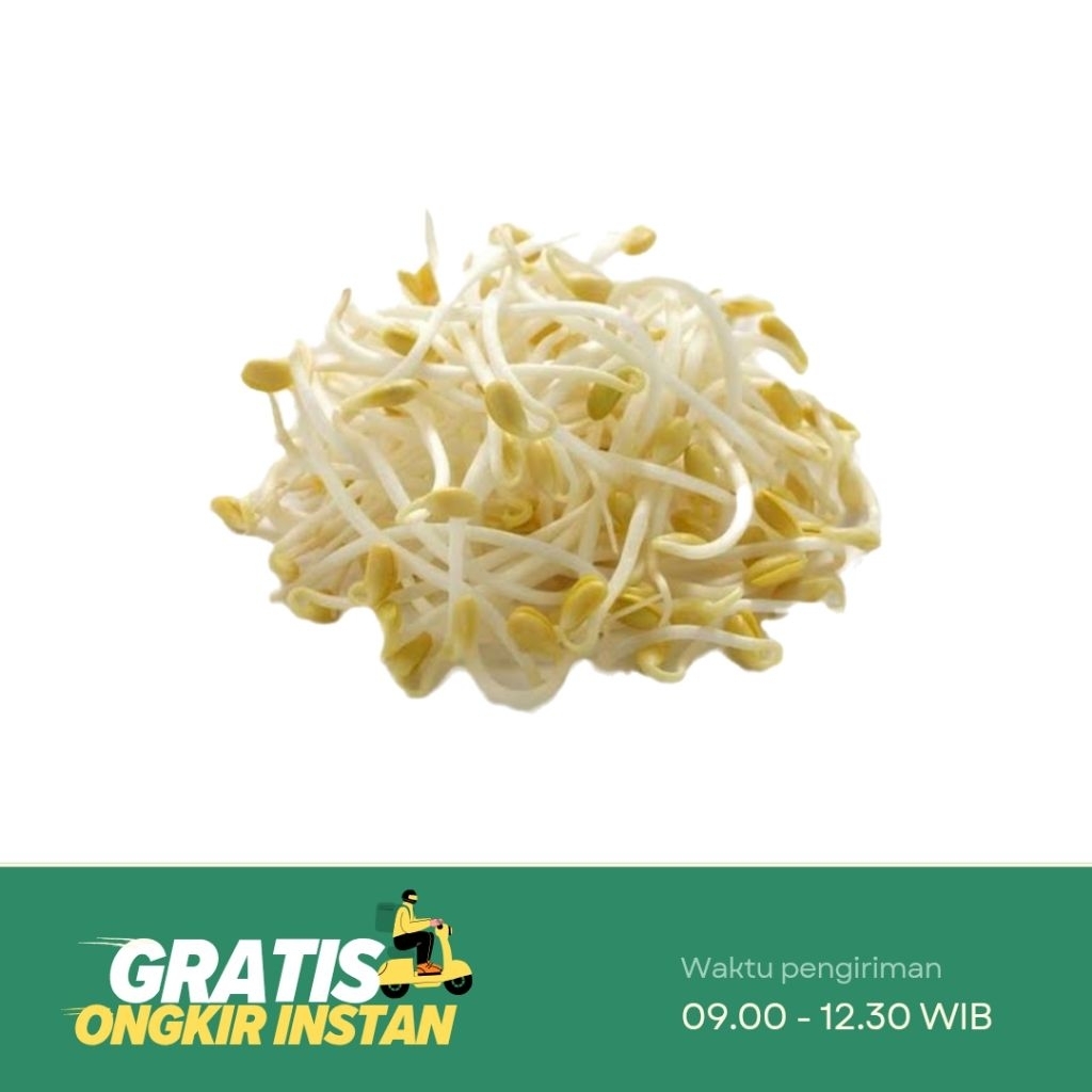 

Sayur Toge / Tauge / Kecambah 100 gr / 250 gram