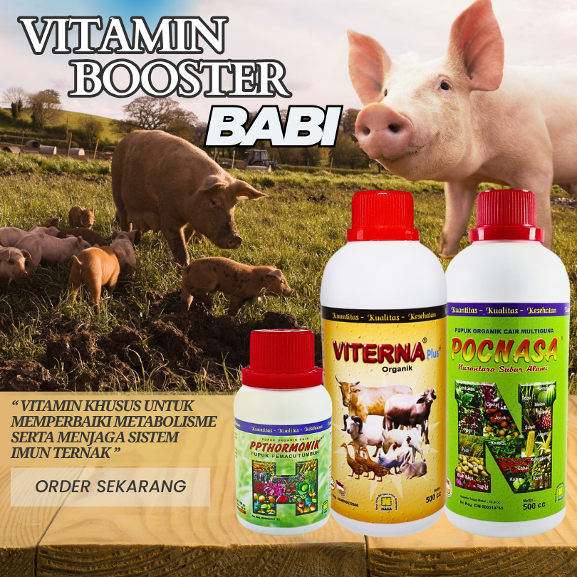 Vitamin Babi Agar Cepat Besar Paket Poc Nasa Hormonik Viterna Nasa