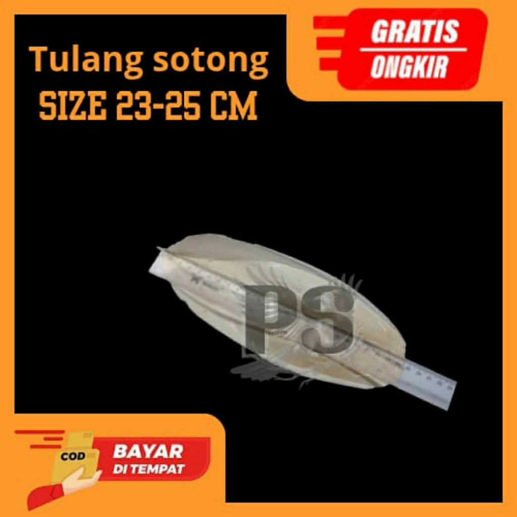 TULANG SOTONG untuk pakan burung Lovebird ukuran 20cm sampai 25cm ya