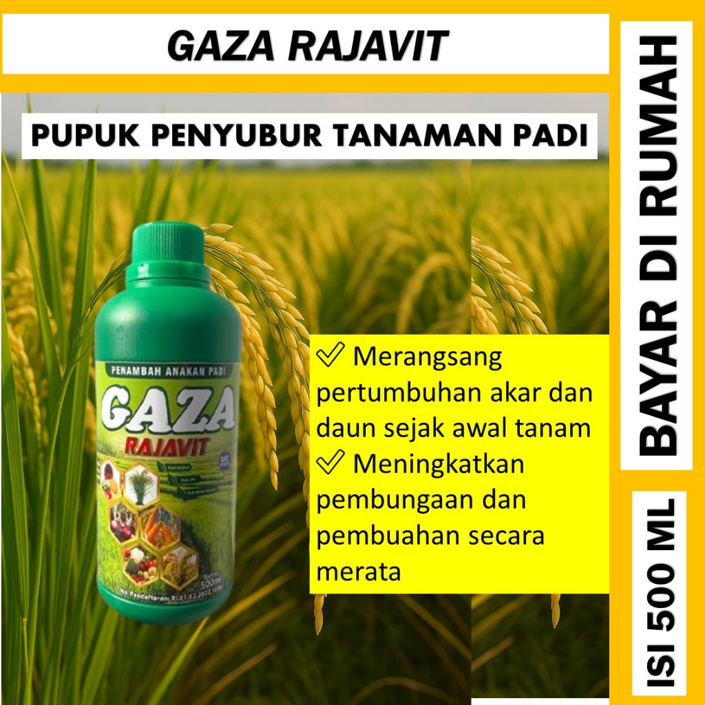 gaza rajavit 500 ML Pupuk Padi Sawah Terbaik / Pupuk Padi Sawah Terbaik / Pupuk Padi Semprot Penyubu