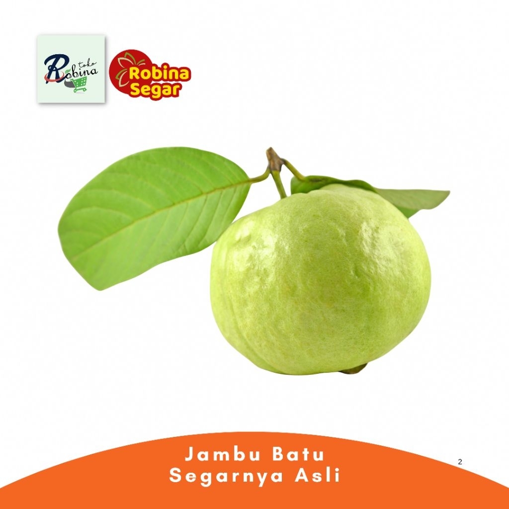 

Robina Fresh Jambu Kristal 500 gr