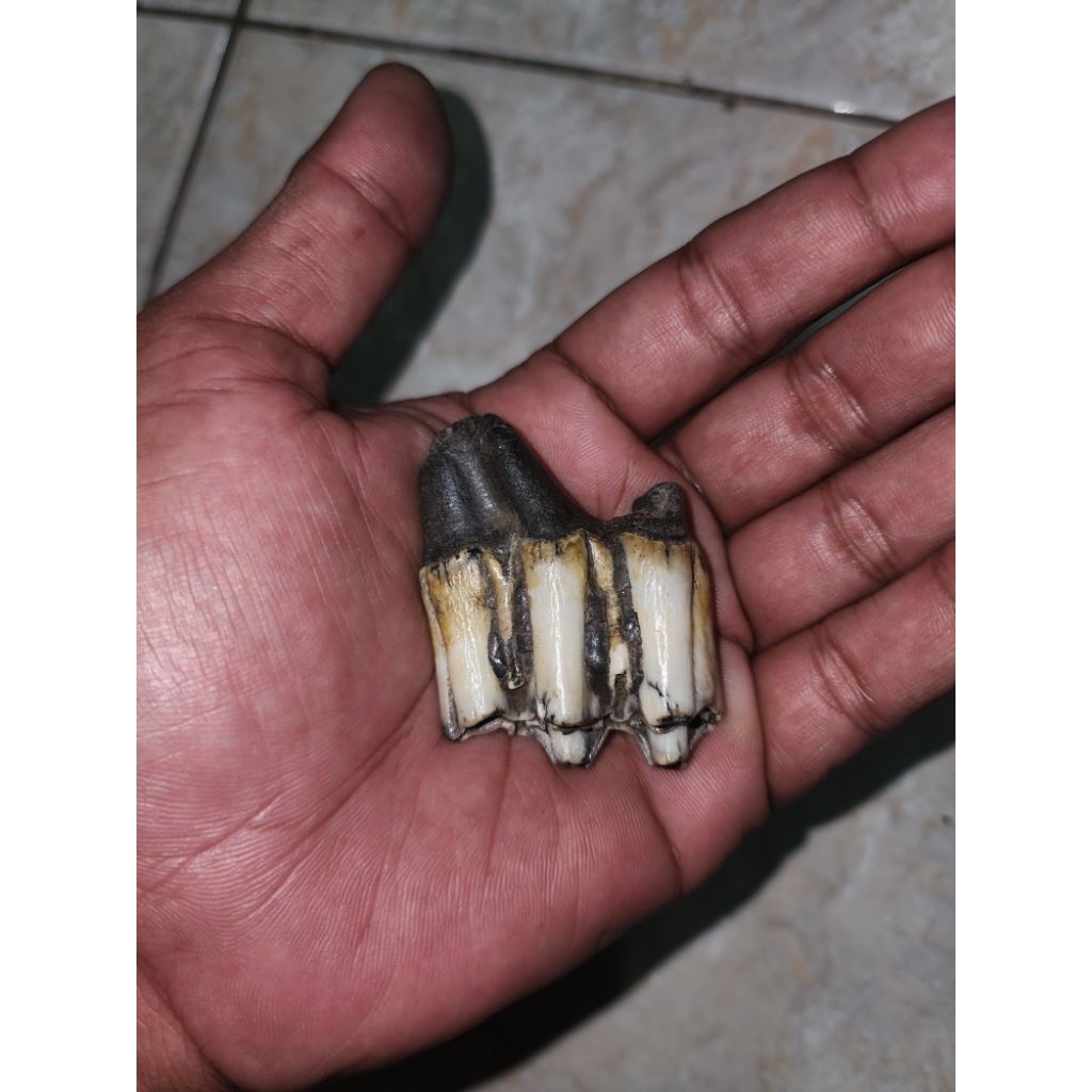 barang kuno langka unik batupsil antik peninggalan mbah