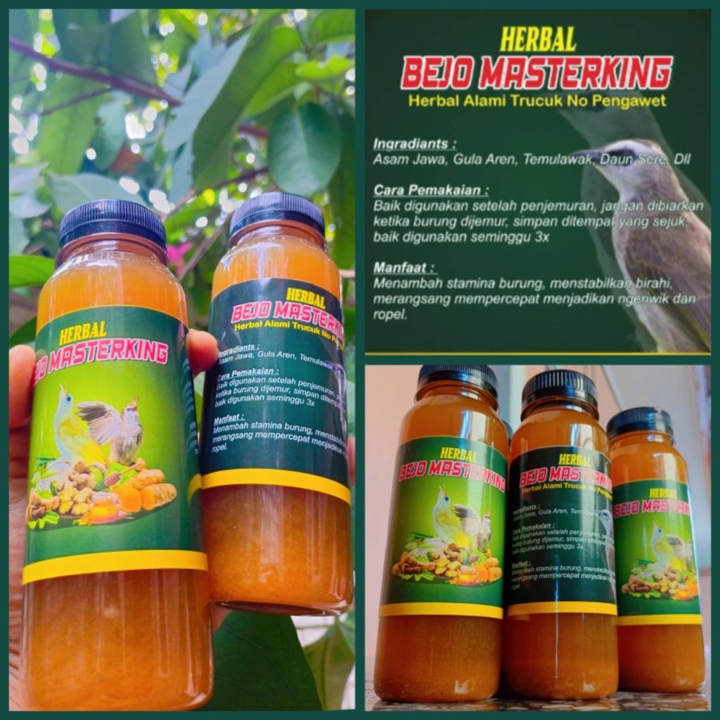 

Ramuan Herbal BEJO MASTERKING