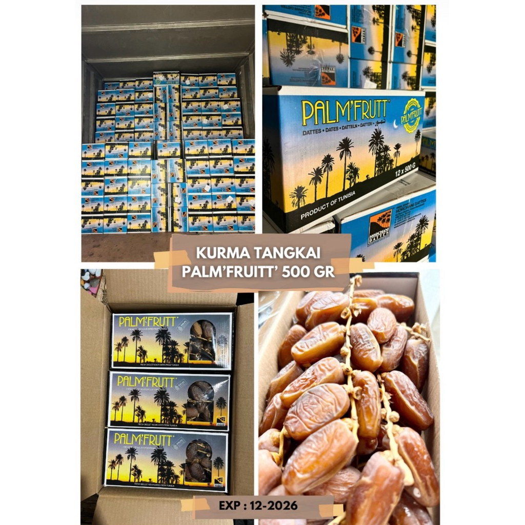 

kurma tunisia tangkai palem fruit 500 GRAM EXPAYERT 2026