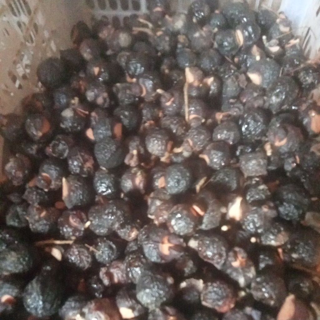 

buah klerak bahan sabun alami 1kg