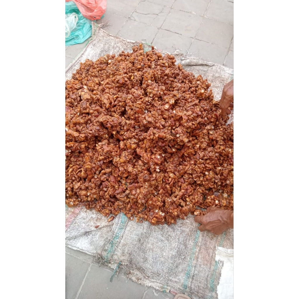 

Asam Jawa super coklat