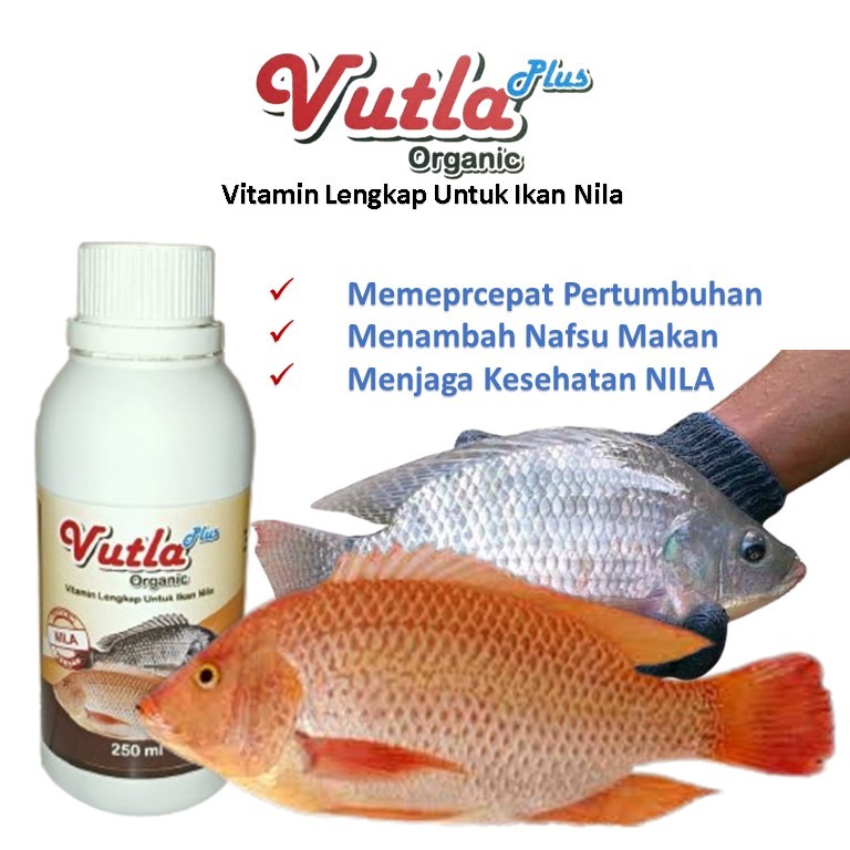 Vitamin Nila / Vitamin Ikan / Vitamin Ikan Nila / Nutrisi ikan nila / nutrisi ikan / booster nila