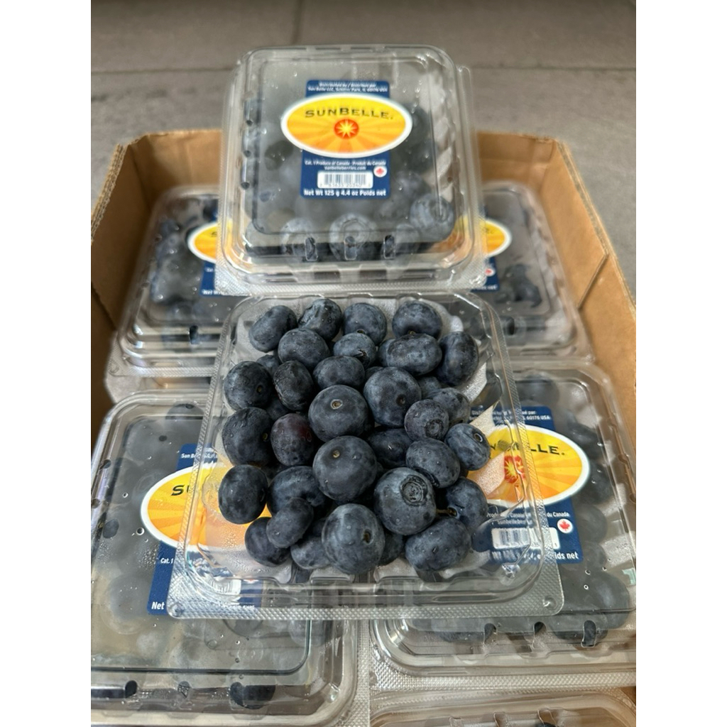 

Blueberry / Buah Bluberries Canada 1 Dus (12 Pack) Fresh Import