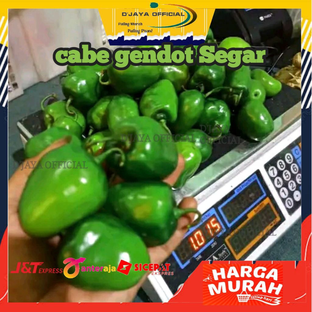

Cabe Gendot Segar Murah 500 gram