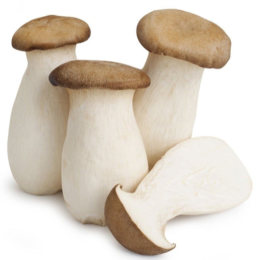 

Jamur Oyster King/Oyster King/Jamur King Oyster Segar/Fresh King Oyster/Jamur Tiram Oyster/Mushroom King Oyster/5 Kg/Box