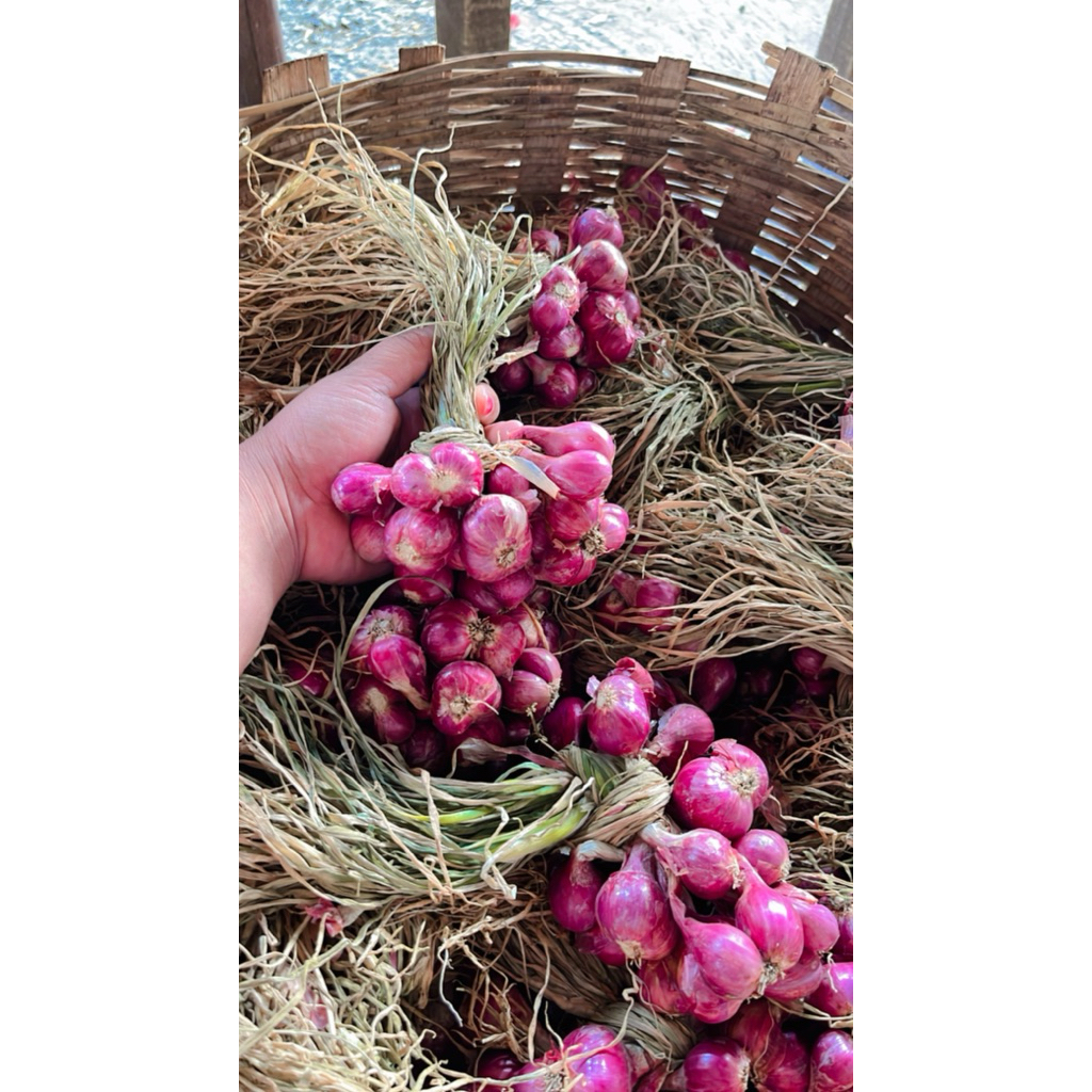 

Bawang merah untingan Super jumbo & Tanggung 250grm