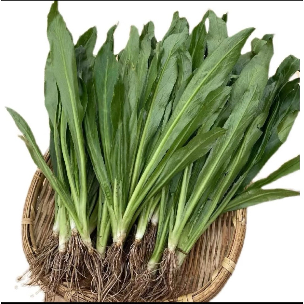 

Walang Sangit | Tanamawan Walang sangit Beli 10 gratis 2