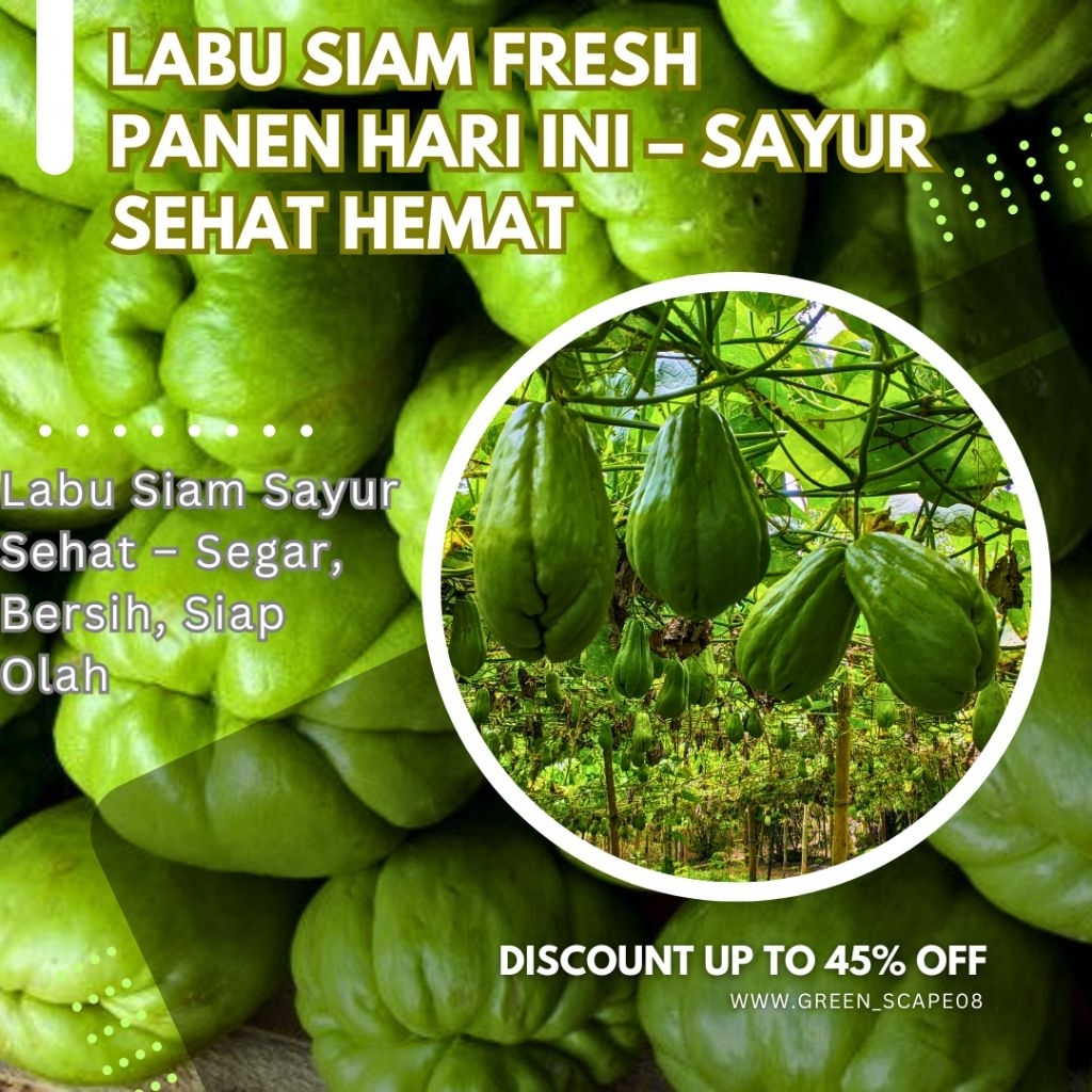 

Labu Siam Segar 500 Gram – Sayur Fresh Siap Masak Harian
