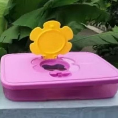 Tissue Box tupperware