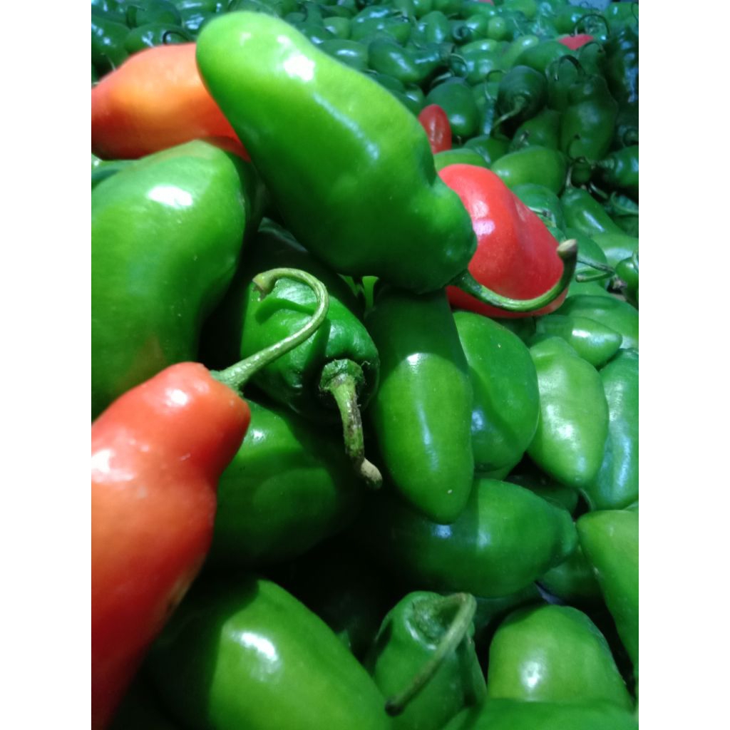 

Cabe gendot segar 250gr/Cabe viral spesial