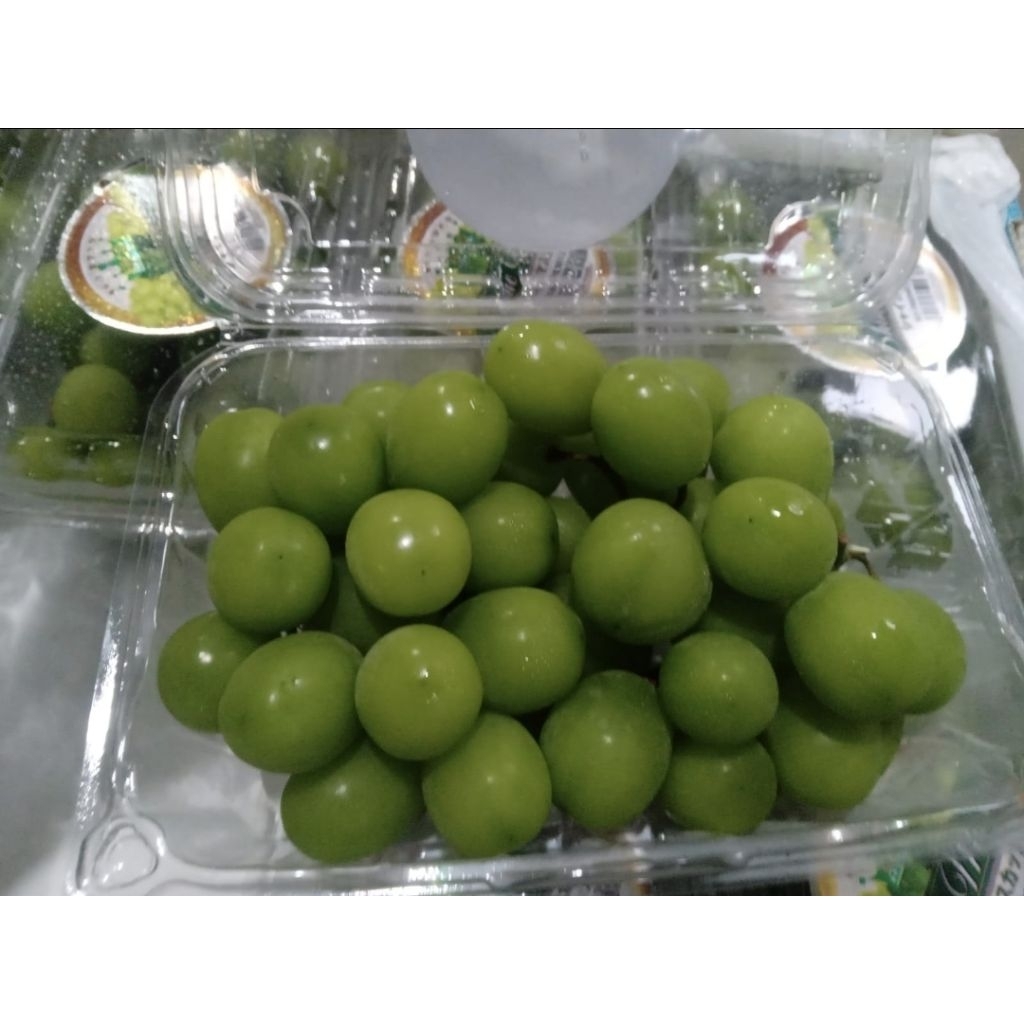 

anggur shine muschat 500 g