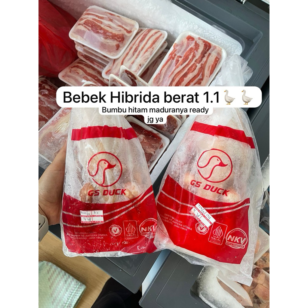 

BEBEK HIBRIDA 1.1kg