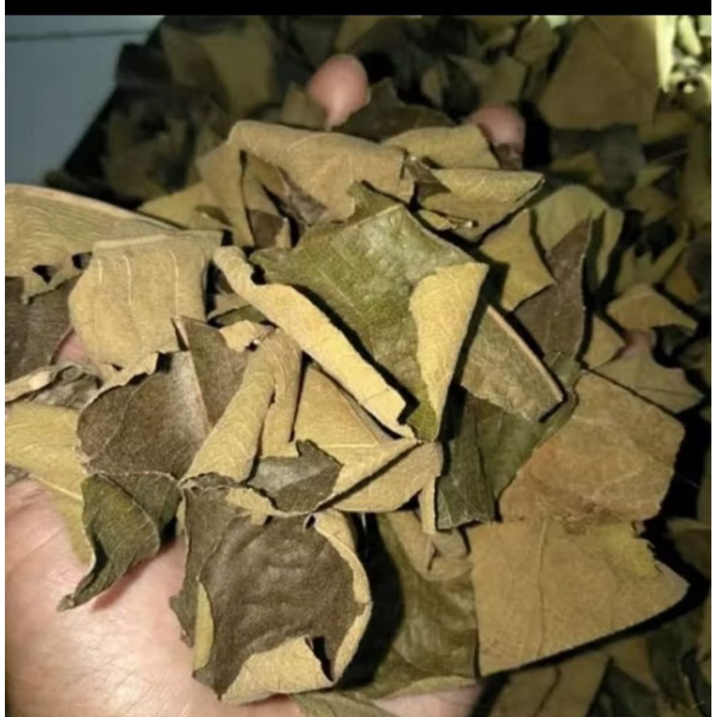 

Daun herbal jati kering 300gr