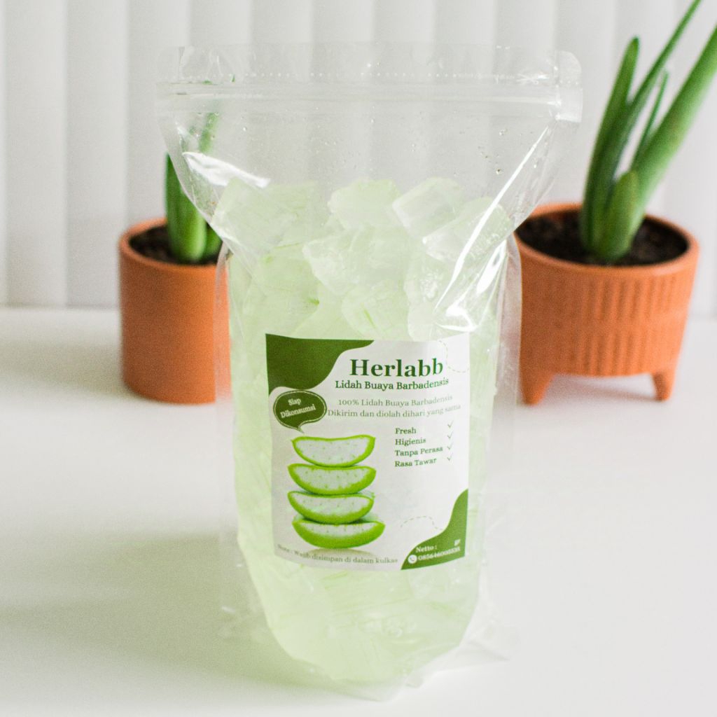 

1 KG Lidah Buaya Kupas Barbadensis Lidah Buaya Jumbo