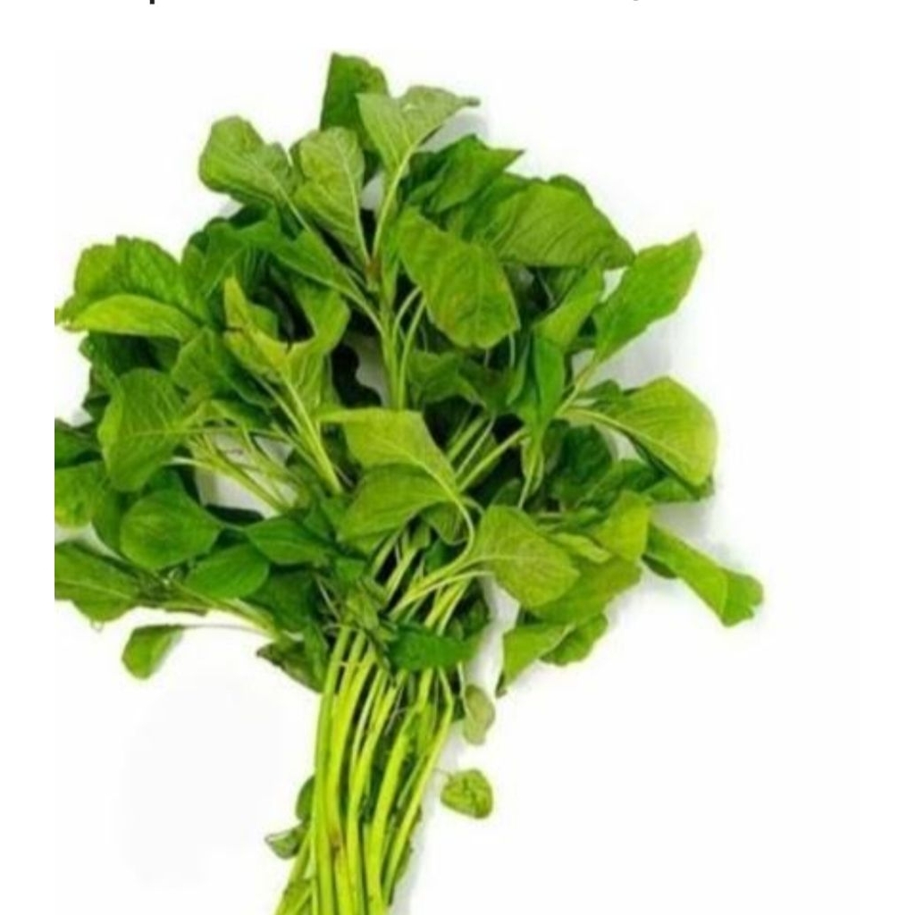 

sayur bayam segar 1 ikat