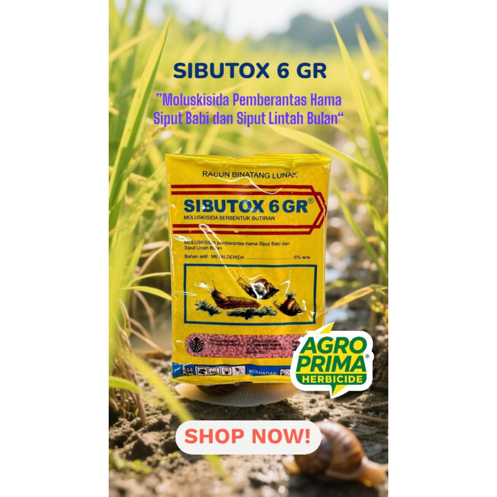 Sibutox 6 GR 250gr (Membasmi hama siput)