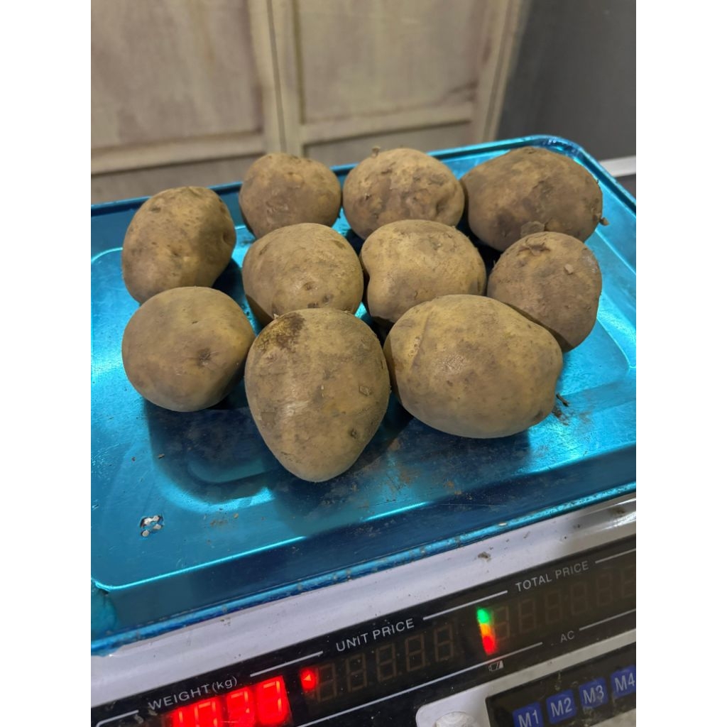 

Kentang Tengger 1 Kg