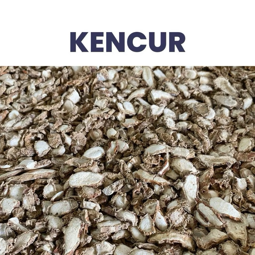 

Kencur Kering dan Bubuk 100 Gram - Bumbu Dapur dan Herbal Alami Serbaguna