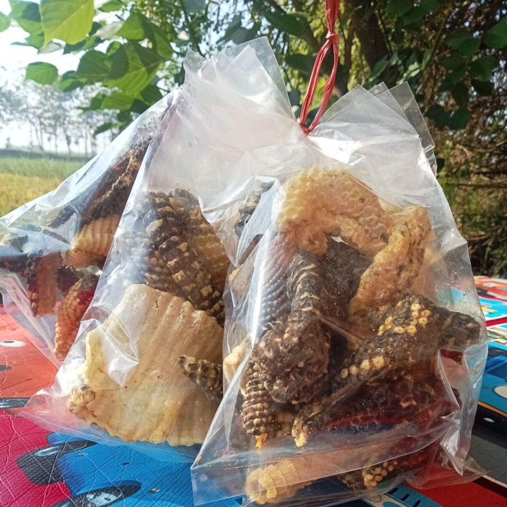 

KERIPIK NYAMBEK/BIAWAK