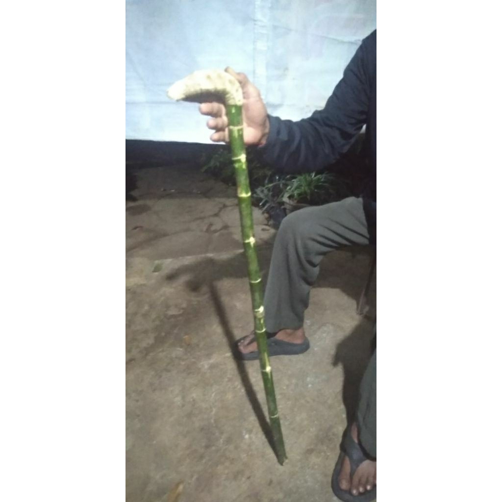 Tongkat Bambu unik