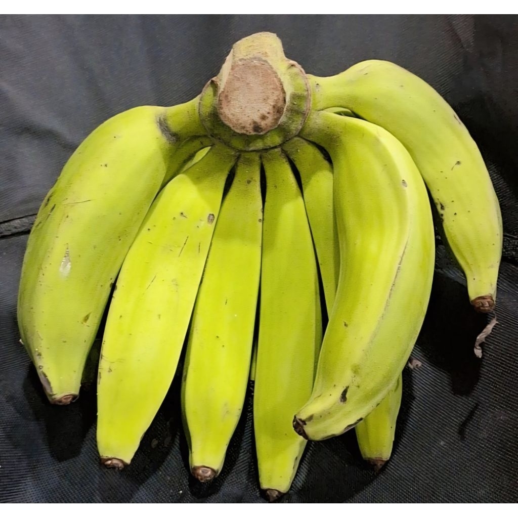 

pisang nangka