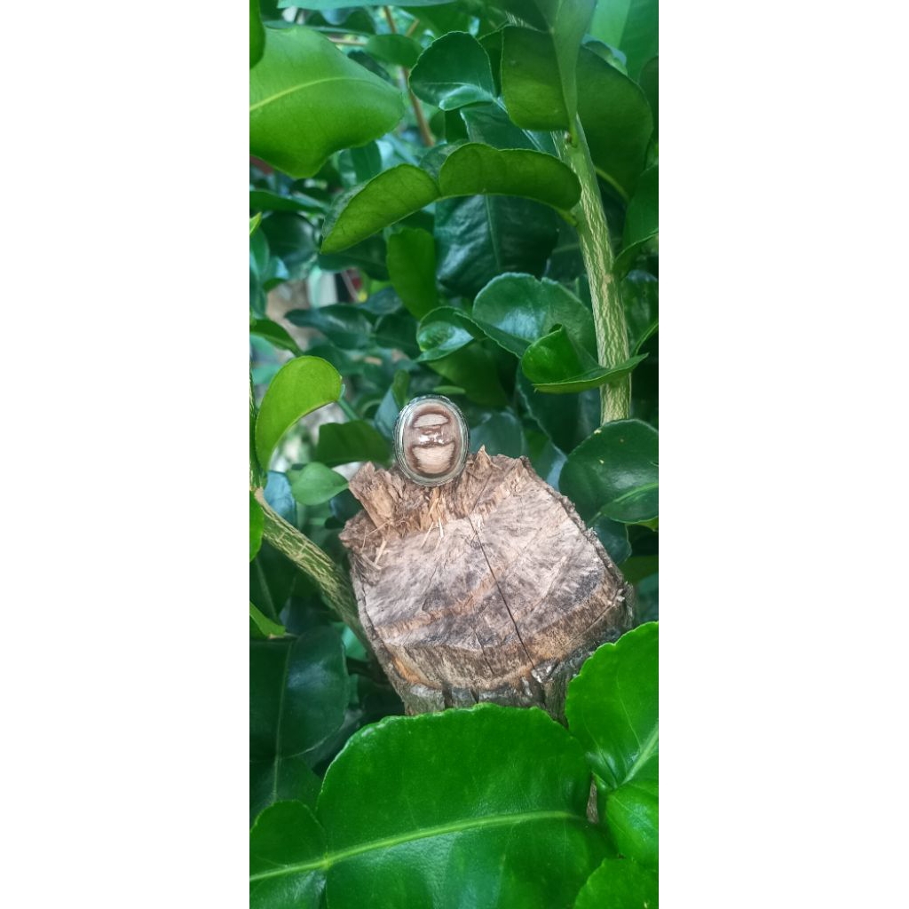 Cincin Natural Batu fosil kelor