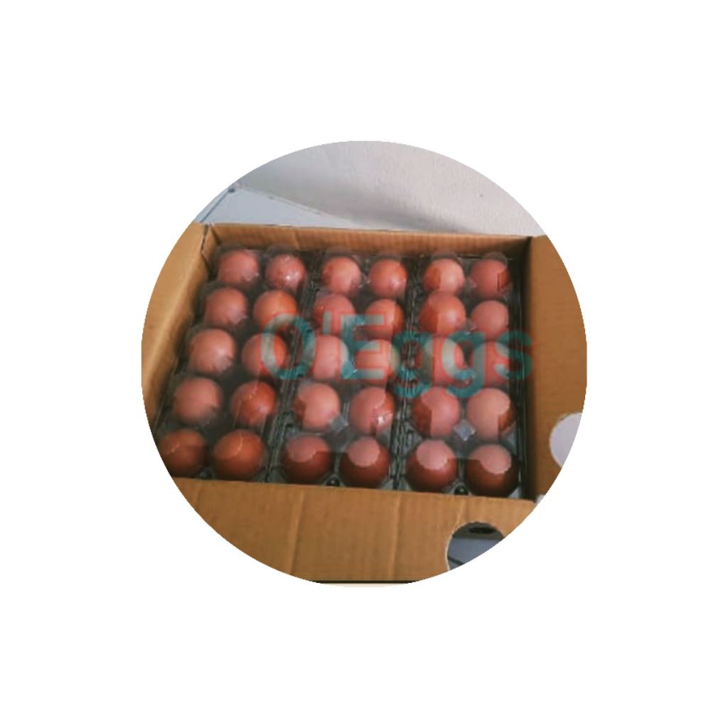 

(Khusus Pre-Order)Telur Ayam Omega 3 O-EGGS grade A 1 pack isi 10 butir.