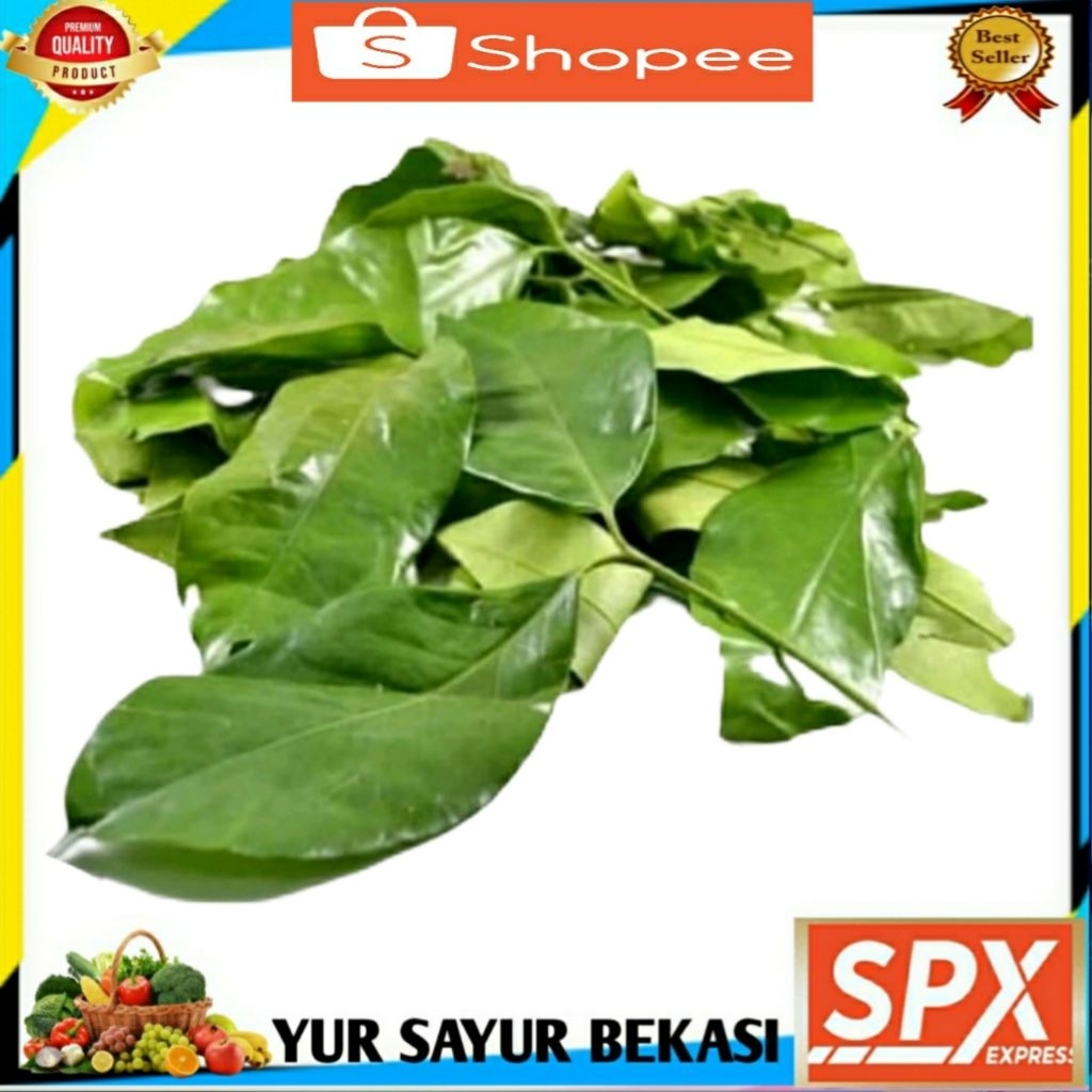 

Daun Melinjo Perbungkus