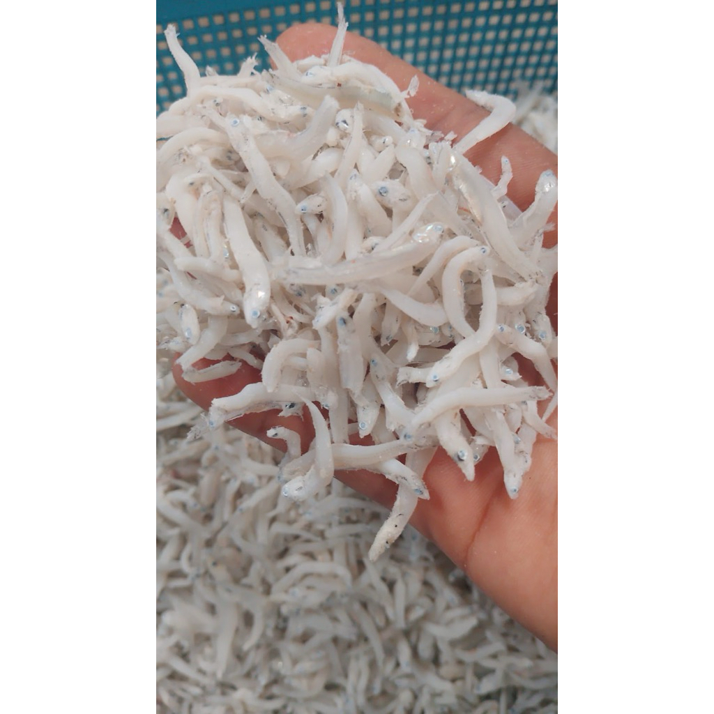 

Teri Tauge Asli Dari Medan 500Grm