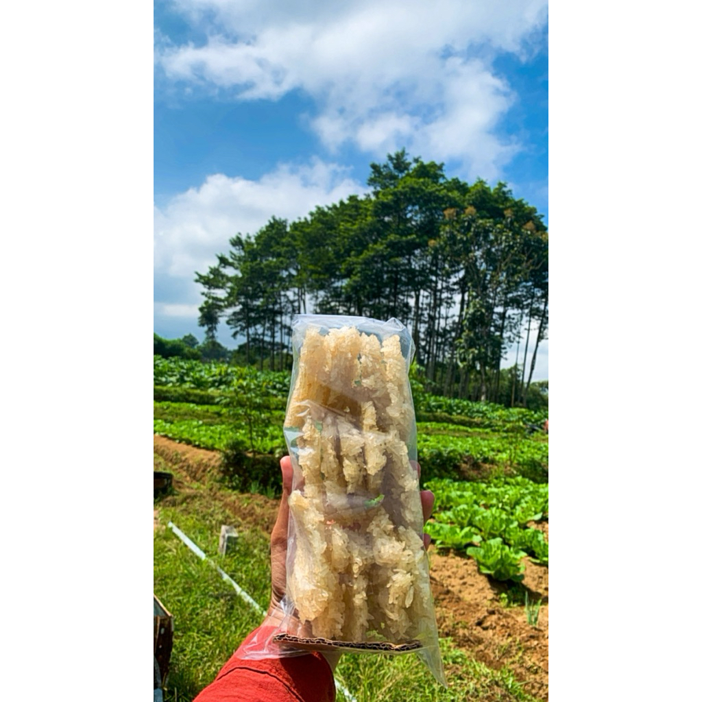 

RENGINANG BERAS KETAN PRODUKSI WONOSOBO