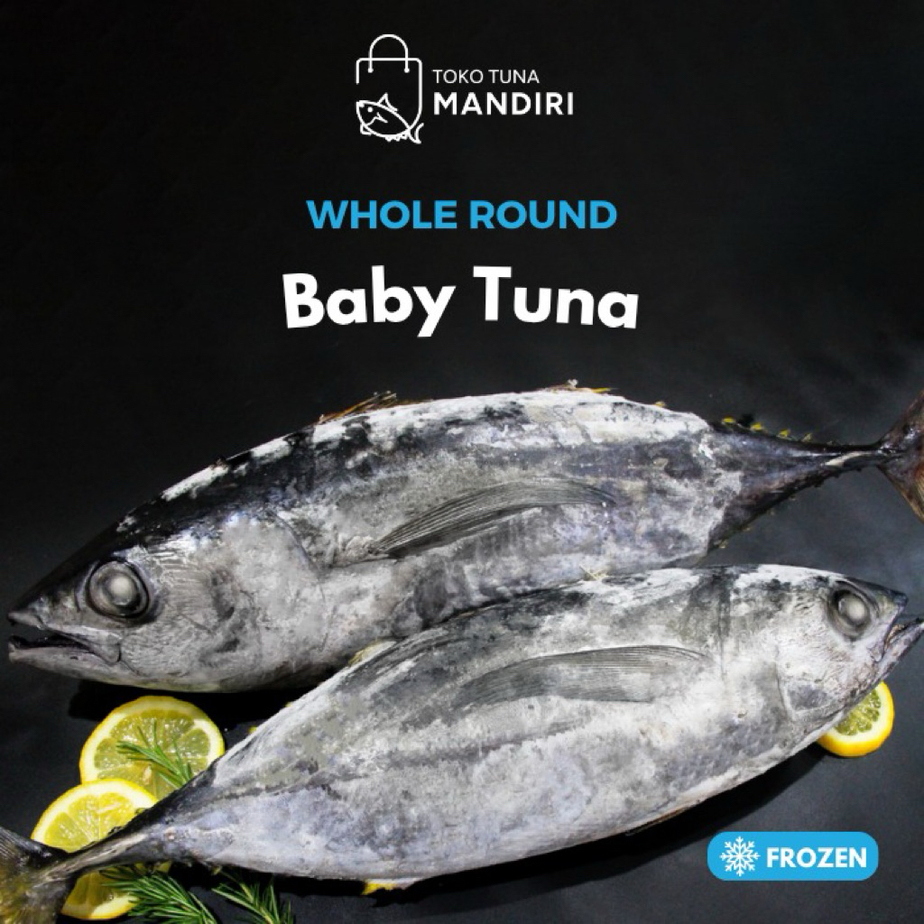 

Frozen Whole Round Baby Tuna | Ikan Baby Tuna Utuh | Kemasan Vakum 1kg+ | Fresh Frozen - Baby Tuna Vakum