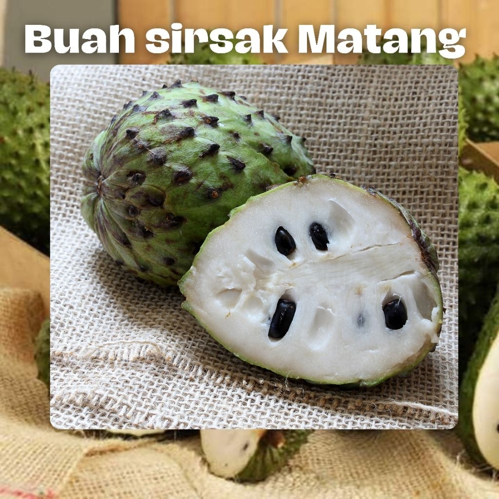 

Sirsak Matang 1kg