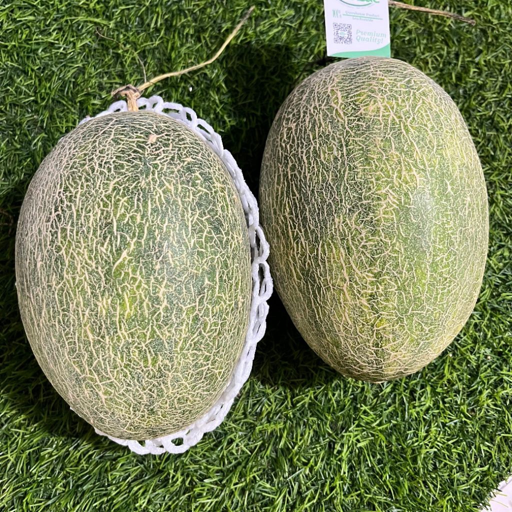 

melon hami 1.2kg