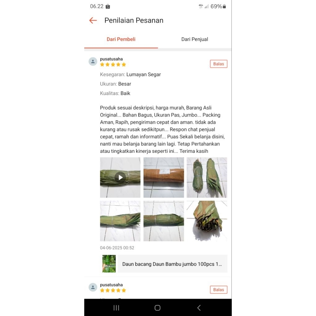 

Daun bambu kecil buat kicang 40 picis