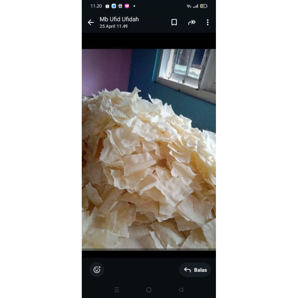 

OPAK SINGKONG MENTAH KHAS RANDU RENYAH KEMEPOH