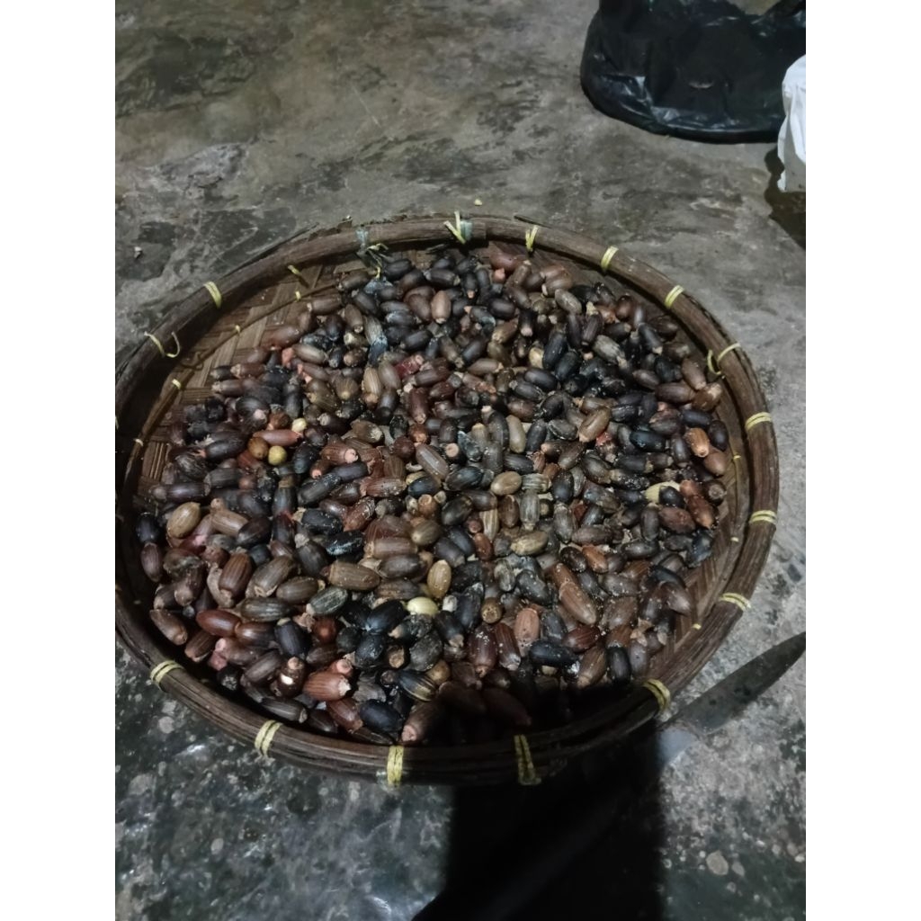 

bijimelinjo super haspdesaan asli