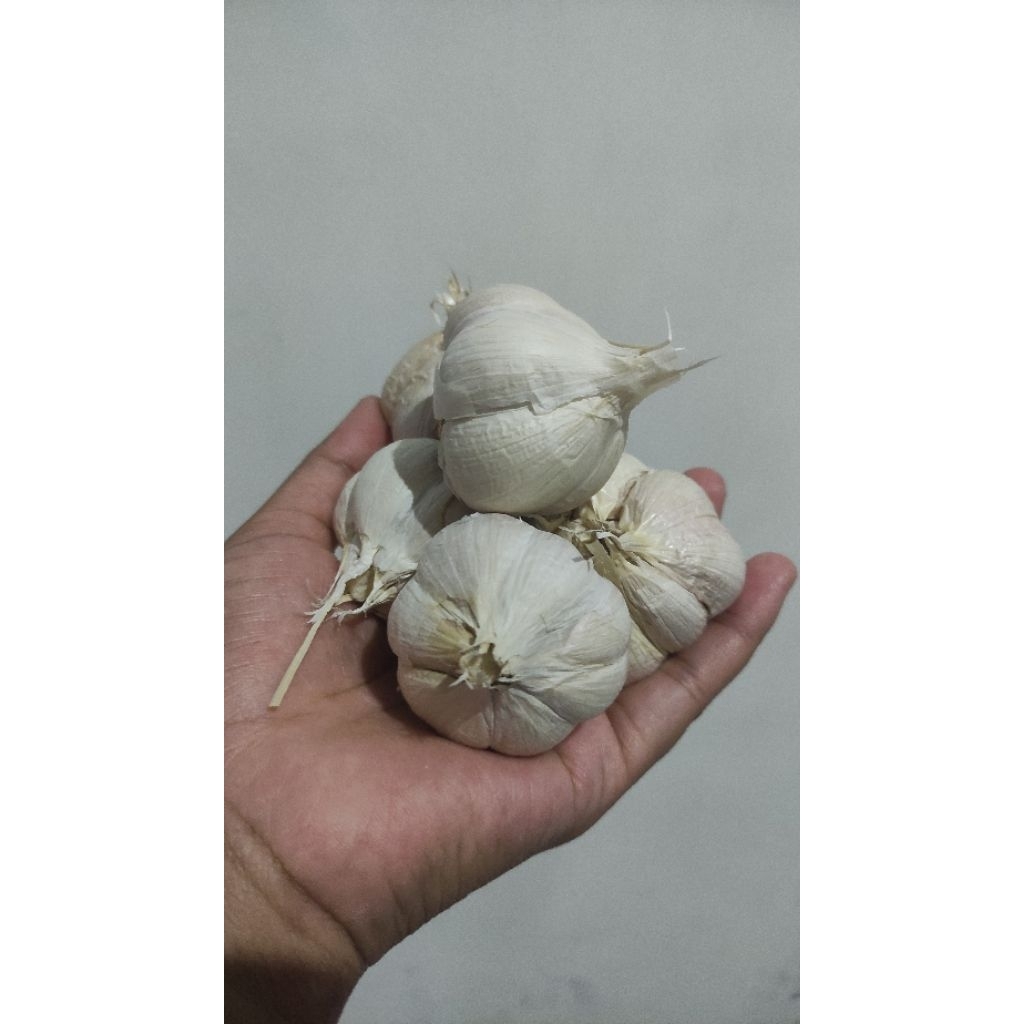 

[Harga Grosir] Bawang Putih Kating Bersih Kualitas Premium Murah 250Gram 500Gram 750 gram 1Kg | Sudah Sortir Tidak Ada Busuk