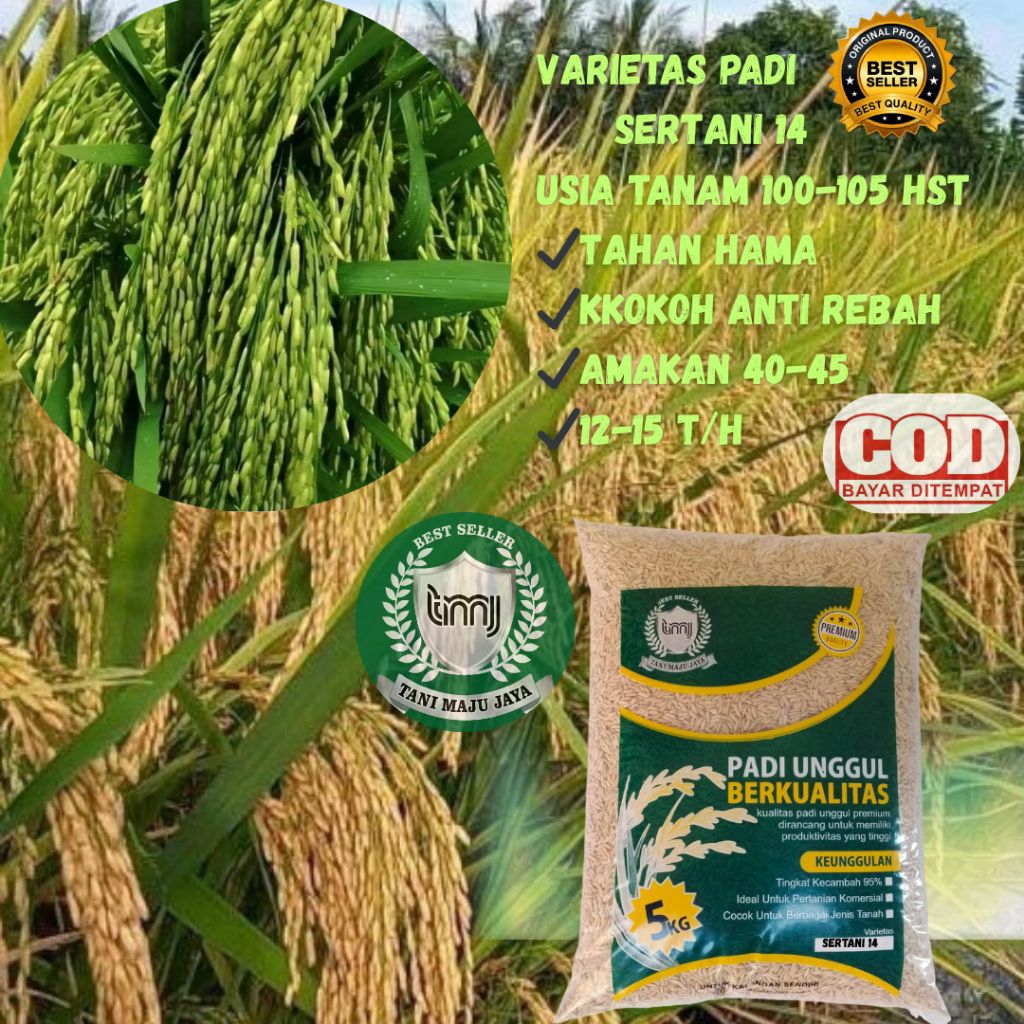 BIBIT PADI BENIH PADI UNGGUL VARIETAS SERTANI 14 KEMASAN 5 KG