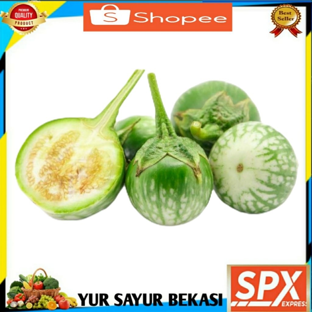 

Terong Bulat/Terong Lalap 250gr.