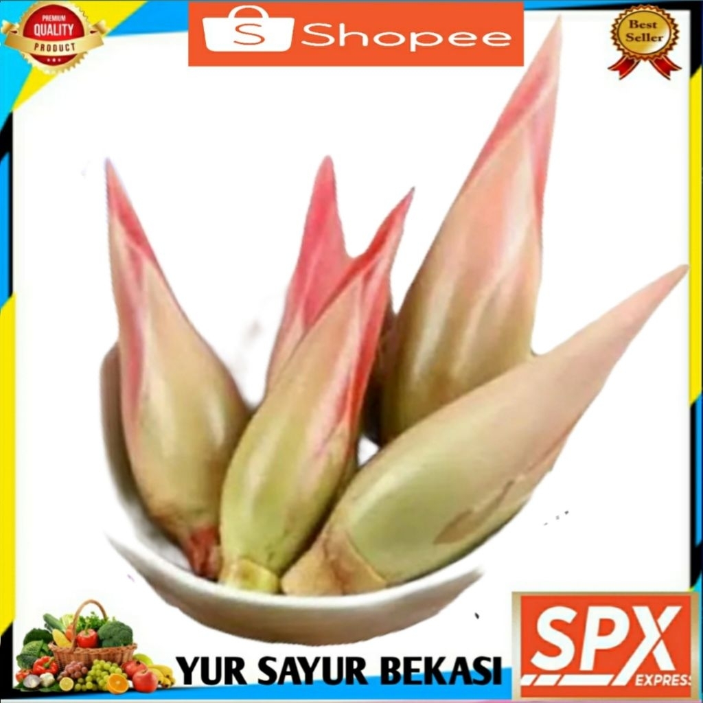 

Kecombrang Merah ( 1pcs. ).