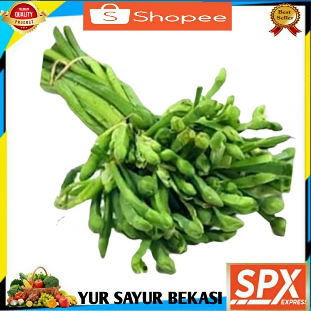 

Sayur Genjer ( 2 ikat ).