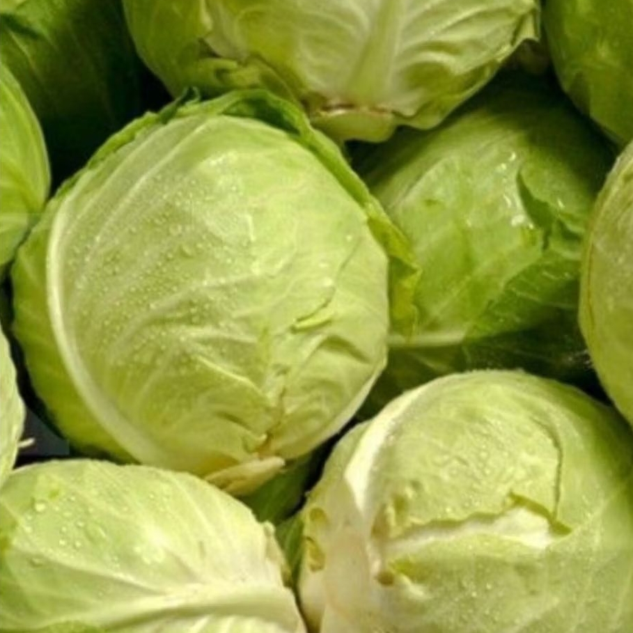 

KOL putih\KUBIS sayur segar\fresh 1kg