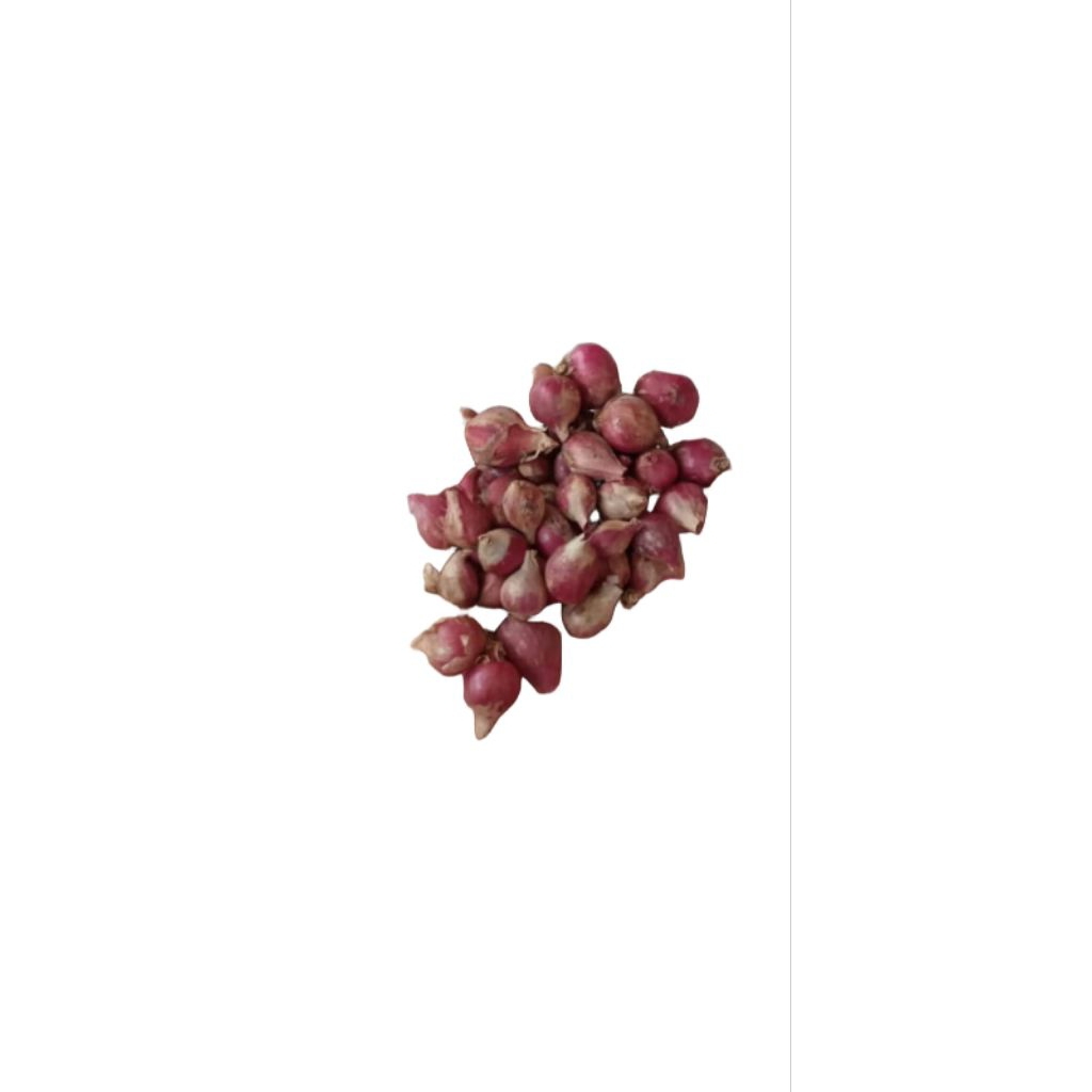

Bawang Merah Probolinggo 1kg (protolan)